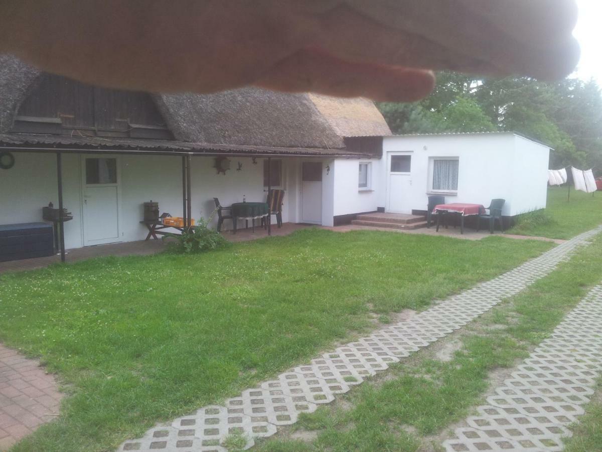 Fewo1 Борн Екстер'єр фото